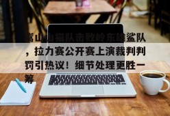 yabo嵩山山猫队击败岭东雄鲨队，拉力赛公开赛上演裁判判罚引热议！细节处理更胜一筹的简单介绍