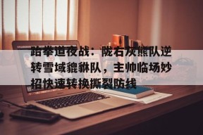 亚博体育跆拳道夜战：陇右灰熊队逆转雪域貔貅队，主帅临场妙招快速转换撕裂防线的简单介绍